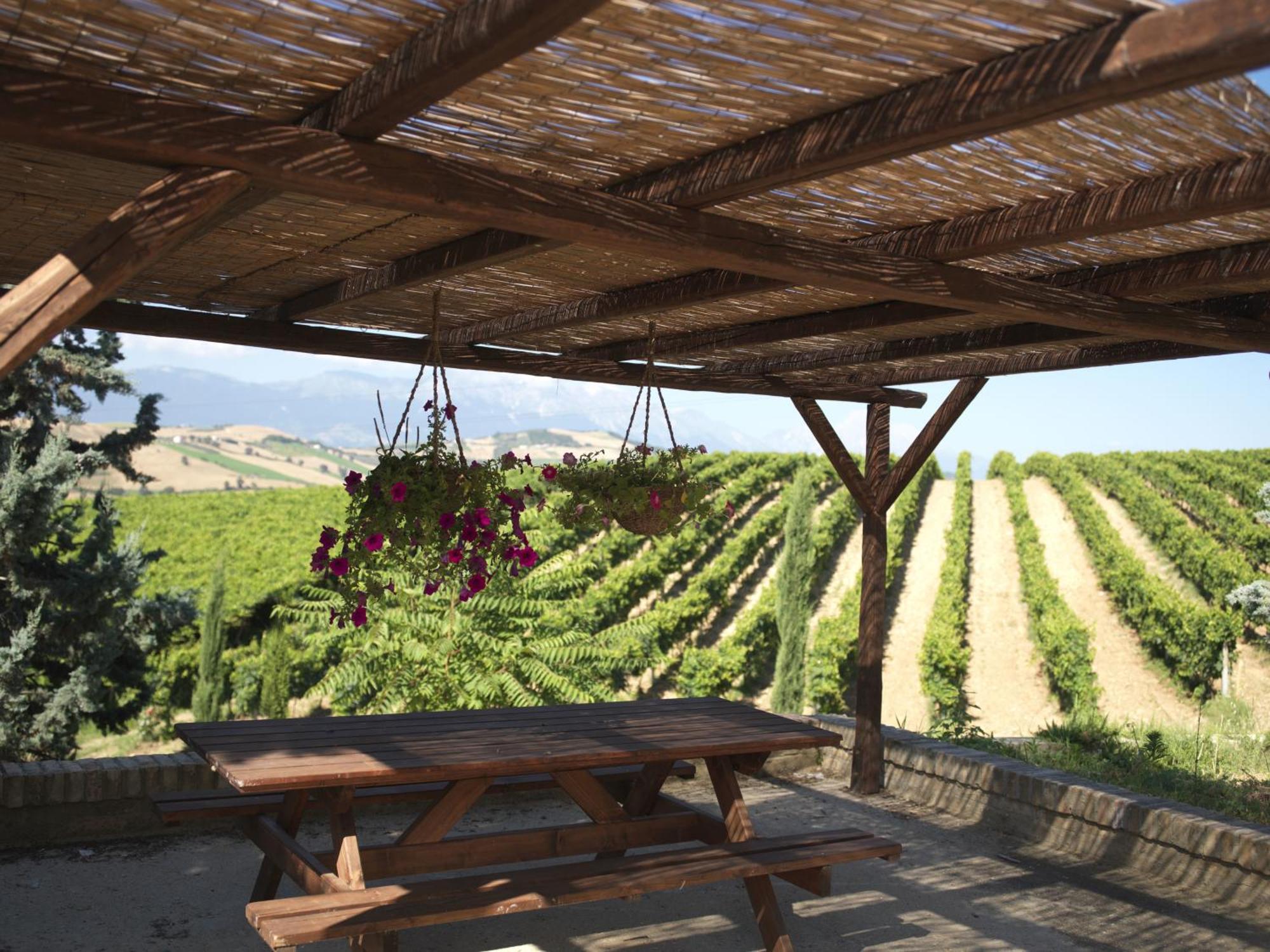 Contado San Lorenzo B&B And Wine Castilenti Ngoại thất bức ảnh